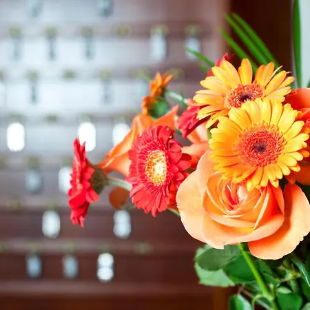 Hotel Kaeferstein Garni Norymberga