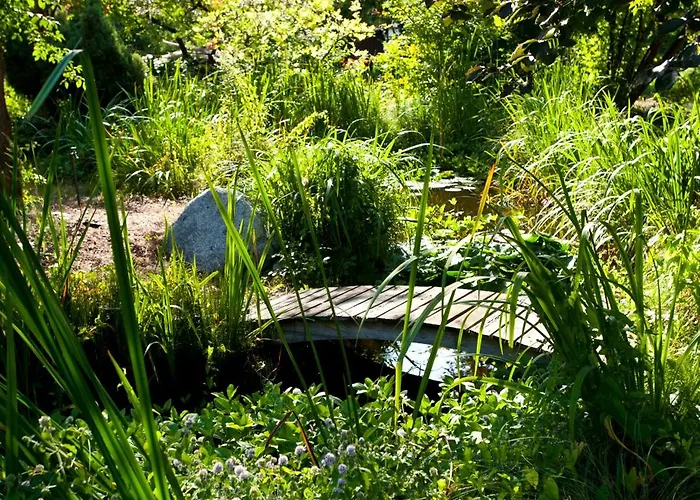 فندق Kaeferstein Garni نورنبيرغ